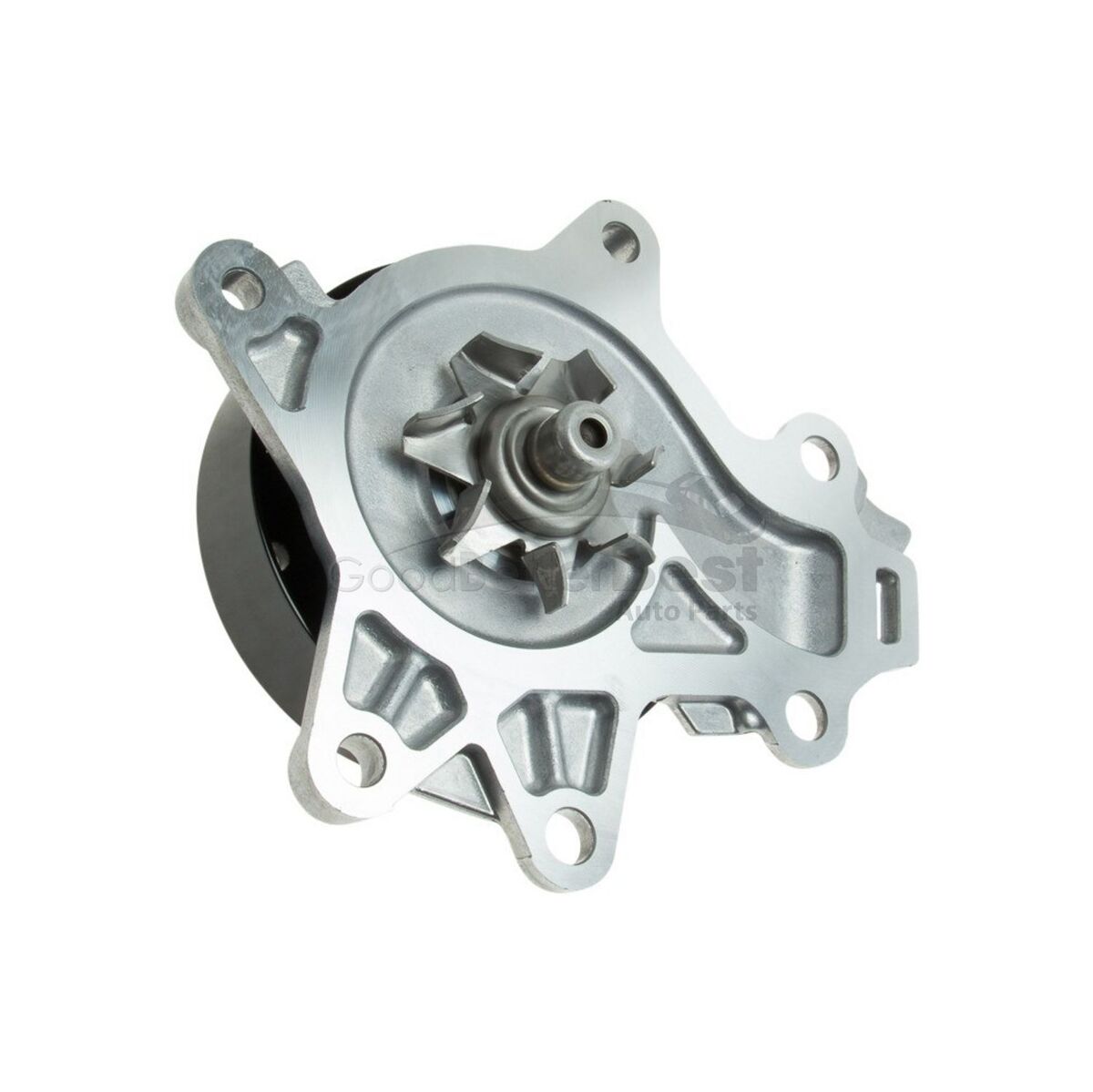 Genuine Water Pump (1610009620)