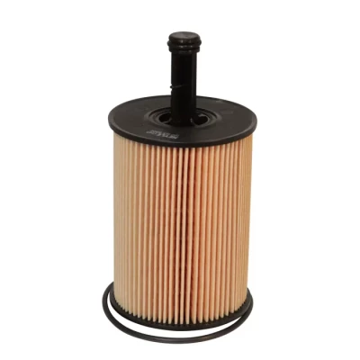 Volkswagen Genuine Oil Filter (070115562)