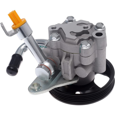 Genuine Power Steering Pump (49110-CA000)