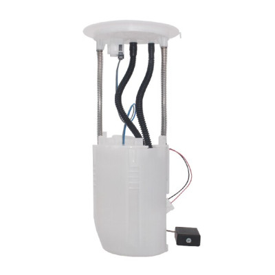 Genuine Complete Fuel Pump & Housing Assembly (77020-60440)